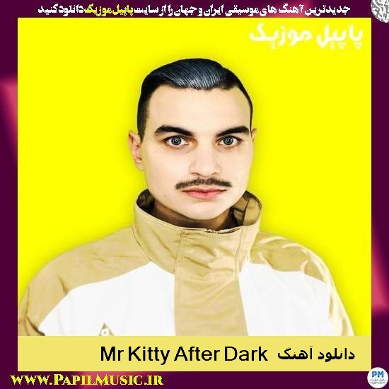 Mr Kitty After Dark دانلود آهنگ After Dark از Mr Kitty
